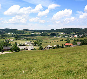 View on Ibach in the Southern Black Forest